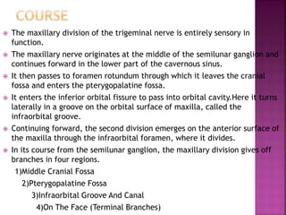  The maxillary division of the trigeminal nerve is entirely sensory in
function.
 The maxillary nerve originates at the middle of the semilunar ganglion and
continues forward in the lower part of the cavernous sinus.
 It then passes to foramen rotundum through which it leaves the cranial
fossa and enters the pterygopalatine fossa.
 It enters the inferior orbital fissure to pass into orbital cavity.Here it turns
laterally in a groove on the orbital surface of maxilla, called the
infraorbital groove.
 Continuing forward, the second division emerges on the anterior surface of
the maxilla through the infraorbital foramen, where it divides.
 In its course from the semilunar ganglion, the maxillary division gives off
branches in four regions.
1)Middle Cranial Fossa
2)Pterygopalatine Fossa
3)Infraorbital Groove And Canal
4)On The Face (Terminal Branches)
 