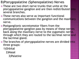 B)Pterygopalatine (Sphenopalatine) Nerves
 These are two short nerve trunks that unite at the
pterygopalatine ganglion and are then redistributed into
several branches.
 These nerves also serve as important functional
communications between the ganglion and the maxillary
nerve.
 Postganglionic secretomotor fibers from the
pterygopalatine ganglion pass by means of these nerves
back along the maxillary nerve to the zygomatic nerve,
through which they are routed to the lacrimal nerve and
the lacrimal gland.
 The branches of pterygopalatine nerves are divided into
three groups:
1)Orbital
2)Nasal
3)Palatine
 