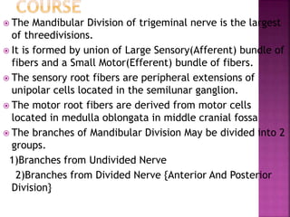  The Mandibular Division of trigeminal nerve is the largest
of threedivisions.
 It is formed by union of Large Sensory(Afferent) bundle of
fibers and a Small Motor(Efferent) bundle of fibers.
 The sensory root fibers are peripheral extensions of
unipolar cells located in the semilunar ganglion.
 The motor root fibers are derived from motor cells
located in medulla oblongata in middle cranial fossa
 The branches of Mandibular Division May be divided into 2
groups.
1)Branches from Undivided Nerve
2)Branches from Divided Nerve {Anterior And Posterior
Division}
 