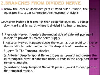  Below the level of Undivided part of Mandibular Division, the trunk
separates into 2 parts: Anterior And Posterior Divisions.
A)Anterior Dision : It is smaller than posterior division. It passes
downward and forward, where it divided into four branches.
1.Pterygoid Nerve : It enters the medial side of external pterygoid
muscle to provide its motor nerve supply.
2.Masseter Nerve : It passes above the external pterygoid to traverse
the mandibular notch and enter the deep side of masseter muscle.
3.Nerve To The Temporal Muscle:
(a)Anterior Deep Temporal Nerve : It passes upward and crosses the
infratemporal crest of sphenoid bone. It ends in the deep part of the
temporal muscle.
(b)Posterior Deep Temporal Nerve :It passes upward to deep part of
the temporal muscle.
 