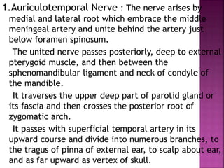 1.Auriculotemporal Nerve : The nerve arises by
medial and lateral root which embrace the middle
meningeal artery and unite behind the artery just
below foramen spinosum.
The united nerve passes posteriorly, deep to external
pterygoid muscle, and then between the
sphenomandibular ligament and neck of condyle of
the mandible.
It traverses the upper deep part of parotid gland or
its fascia and then crosses the posterior root of
zygomatic arch.
It passes with superficial temporal artery in its
upward course and divide into numerous branches, to
the tragus of pinna of external ear, to scalp about ear,
and as far upward as vertex of skull.
 