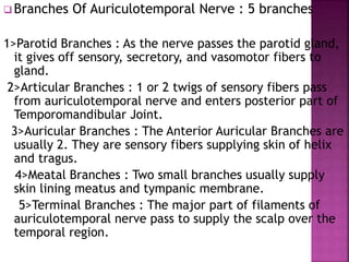  Branches Of Auriculotemporal Nerve : 5 branches
1>Parotid Branches : As the nerve passes the parotid gland,
it gives off sensory, secretory, and vasomotor fibers to
gland.
2>Articular Branches : 1 or 2 twigs of sensory fibers pass
from auriculotemporal nerve and enters posterior part of
Temporomandibular Joint.
3>Auricular Branches : The Anterior Auricular Branches are
usually 2. They are sensory fibers supplying skin of helix
and tragus.
4>Meatal Branches : Two small branches usually supply
skin lining meatus and tympanic membrane.
5>Terminal Branches : The major part of filaments of
auriculotemporal nerve pass to supply the scalp over the
temporal region.
 