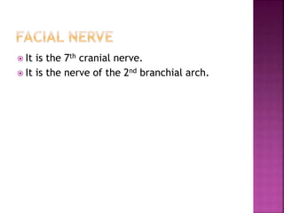  It is the 7th cranial nerve.
 It is the nerve of the 2nd branchial arch.
 