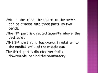 .Within the canal the course of the nerve
can be divided into three parts by two
bends.
.The 1st part is directed laterally above the
vestibule .
.THE 2nd part runs backwards in relation to
the medial wall of the middle ear.
The third part is directed vertically
downwards behind the promontory.
 