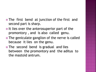  The first bend at junction of the first and
second part is sharp.
 It lies over the anterosuperior part of the
promontory , and is also called genu.
 The geniculate ganglion of the nerve is called
because it lies on the genu.
 The second bend is gradual and lies
between the promontory and the aditus to
the mastoid antrum.
 