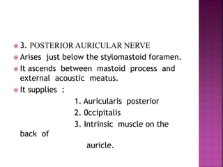  3. POSTERIOR AURICULAR NERVE
 Arises just below the stylomastoid foramen.
 It ascends between mastoid process and
external acoustic meatus.
 It supplies :
1. Auricularis posterior
2. 0ccipitalis
3. Intrinsic muscle on the
back of
auricle.
 