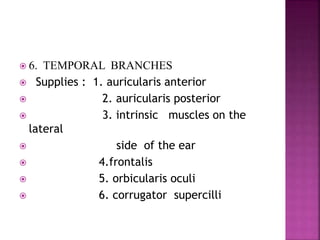  6. TEMPORAL BRANCHES
 Supplies : 1. auricularis anterior
 2. auricularis posterior
 3. intrinsic muscles on the
lateral
 side of the ear
 4.frontalis
 5. orbicularis oculi
 6. corrugator supercilli
 