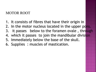 MOTOR ROOT
1. It consists of fibres that have their origin in
2. In the motor nucleus located in the upper pons.
3. it passes below to the foramen ovale , through
4. which it passes to join the mandibular division
5. Immediately below the base of the skull.
6. Supplies : muscles of mastication.
 