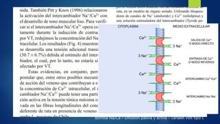 Latrodectismo
 Controversia
Bomba Na/Ca – Difusión pasiva y activa – canales volt tipo L
 