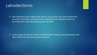 Latrodectismo
 MA: liberación pre-sinaptica de calcio y otros iones con masiva liberación
de acetil colina (ter. neuromuscular) catecolaminas (cerebro) desde las
terminaciones nerviosas adrenérgicas del SNA.
 Actúa sobre membrana celular citoplasmática (iones), parece presentar tres
tipos diferentes de mecanismos de acción:
 