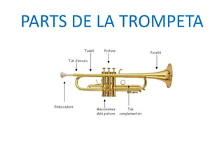 PARTS DE LA TROMPETA
 