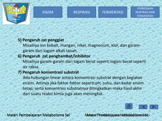 ENZIM

RESPIRASI

FERMENTASI

PERBEDAAN
RESPIRASI DAN
FERMENTASI

5) Pengaruh zat penggiat
Misalnya ion kobalt, mangan, nikel, magnesium, klor, dan garamgaram dari logam alkali tanah.
6) Pengaruh zat penghambat/inhibitor
Misalnya garam-garam dari logam berat seperti logam berat seperti
air raksa.
7) Pengaruh konsentrasi substrat
Ada hubungan linear antara konsentrasi substrat dengan kegiatan
enzim. Artinya jika faktor-faktor seperti pH, suhu, dan kadar enzim
tetap, serta konsentrasi substratnya ditingkatkan maka hasil akhir
dari suatu reaksi kimia juga akan meningkat.

Materi Pembelajaran Metabolisme Sel

Materi Pembelajaran Metabolisme Sel
Materi Pembelajaran Metabolisme Sel

 