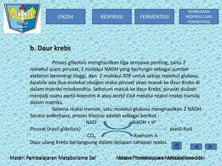 ENZIM

RESPIRASI

FERMENTASI

PERBEDAAN
RESPIRASI DAN
FERMENTASI

b. Daur krebs
Proses glikolisis menghasilkan tiga senyawa penting, yaitu 2
molekul asam piruvat, 2 molekul NADH yang berfungsi sebagai sumber
elektron berenergi tinggi, dan 2 molekul ATP untuk setiap molekul glukosa.
Apabila ada dua molekul oksigen maka piruvat akan masuk ke daur Krebs di
dalam matriks mitokondria. Sebelum masuk ke daur Krebs, piruvat diubah
menjadi suatu asetil-koenzim A atau acetil CoA melalui reaksi-reaksi transisi
dalam matriks.
Selama reaksi transisi, satu molekul glukosa menghasilkan 2 NADH.
Secara sederhana, proses transisi adalah sebagai berikut :
NAD+
NADH + H+
Piruvat (hasil glikolisis)
asetil-KoA
CO2
Koenzim A
Daur ulang Krebs berlangsung dalam delapan tahapan reaksi.
Materi Pembelajaran Metabolisme Sel

Materi Pembelajaran Metabolisme Sel
Materi Pembelajaran Metabolisme Sel

 