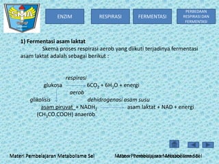 ENZIM

RESPIRASI

FERMENTASI

PERBEDAAN
RESPIRASI DAN
FERMENTASI

1) Fermentasi asam laktat
Skema proses respirasi aerob yang diikuti terjadinya fermentasi
asam laktat adalah sebagai berikut :

respirasi
glukosa

6CO2 + 6H2O + energi

aerob
glikolisis
dehidrogenasi asam susu
asam piruvat + NADH2
asam laktat + NAD + energi
(CH3CO.COOH) anaerob

Materi Pembelajaran Metabolisme Sel

Materi Pembelajaran Metabolisme Sel
Materi Pembelajaran Metabolisme Sel

 