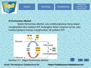 ENZIM

RESPIRASI

FERMENTASI

PERBEDAAN
RESPIRASI DAN
FERMENTASI

2) Fermentasi alkohol
Dalam fermentasi alkohol, satu molekul glukosa hanya dapat
menghasilkan dua molekul ATP. Sedangkan dalam respirasi aerob, satu
molekul glukosa mampu menghasilkan 38 molekul ATP.

Gambar 2.7. Bagan fermentasi alkohol
Materi Pembelajaran Metabolisme Sel

Materi Pembelajaran Metabolisme Sel
Materi Pembelajaran Metabolisme Sel

 