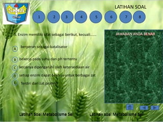 LATIHAN SOAL
1

2

3

4

5

3. Enzim memiliki sifat sebagai berikut, kecuali......

A

6

7

8

JAWABAN ANDA BENAR
SALAH

berperan sebagai katalisator

B bekerja pada suhu dan pH tertentu

C kerjanya dipengaruhi oleh ketersediaan air
D setiap enzim dapat bekerja untuk berbagai zat
E

Terdiri dari zat protein

Latihan Soal Metabolisme Sel

Latihan soal Metabolisme Sel

 