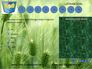 LATIHAN SOAL
1

2

3

4

5

4. Akseptor terakhir untuk hidrogen dalam lingkaran
sitokrom adalah .........

6

7

8

JAWABAN ANDA BENAR
SALAH

A Air
B oksigen

C NAD
D FAD
E

ADP

Latihan Soal Metabolisme Sel

Latihan soal Metabolisme Sel

 