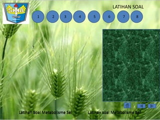 LATIHAN SOAL
1

2

3

4

5

6

7

8

7

Latihan Soal Metabolisme Sel

Latihan soal Metabolisme Sel

 