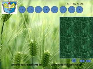 LATIHAN SOAL
1

2

3

Latihan Soal Metabolisme Sel

4

5

6

7

8

Latihan soal Metabolisme Sel

 