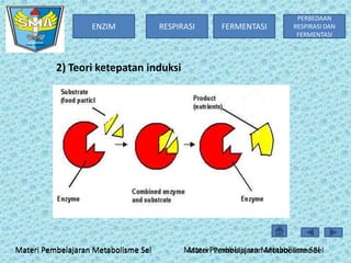 ENZIM

RESPIRASI

FERMENTASI

PERBEDAAN
RESPIRASI DAN
FERMENTASI

2) Teori ketepatan induksi

Materi Pembelajaran Metabolisme Sel

Materi Pembelajaran Metabolisme Sel
Materi Pembelajaran Metabolisme Sel

 