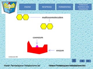 ENZIM

Materi Pembelajaran Metabolisme Sel

RESPIRASI

FERMENTASI

PERBEDAAN
RESPIRASI DAN
FERMENTASI

Materi Pembelajaran Metabolisme Sel
Materi Pembelajaran Metabolisme Sel

 