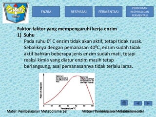 ENZIM

RESPIRASI

FERMENTASI

PERBEDAAN
RESPIRASI DAN
FERMENTASI

Faktor-faktor yang mempengaruhi kerja enzim
1) Suhu
Pada suhu 00 C enzim tidak akan aktif, tetapi tidak rusak.
Sebaliknya dengan pemanasan 400C, enzim sudah tidak
aktif bahkan beberapa jenis enzim sudah mati, tetapi
reaksi kimia yang diatur enzim masih tetap
berlangsung, asal pemanasannya tidak terlalu lama.

Materi Pembelajaran Metabolisme Sel

Materi Pembelajaran Metabolisme Sel
Materi Pembelajaran Metabolisme Sel

 