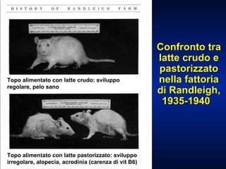 Confronto tra latte crudo e pastorizzato nella fattoria di Randleigh, 1935-1940  Topo alimentato con latte crudo: sviluppo regolare, pelo sano Topo alimentato con latte pastorizzato: sviluppo irregolare, alopecia, acrodinia (carenza di vit B6) 