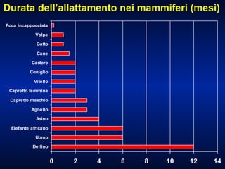 Durata dell’allattamento nei mammiferi (mesi) 