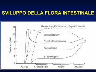 SVILUPPO DELLA FLORA INTESTINALE 