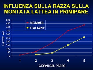 INFLUENZA SULLA RAZZA SULLA MONTATA LATTEA IN PRIMIPARE 