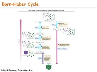 © 2014 Pearson Education, Inc.
Born–Haber Cycle
 