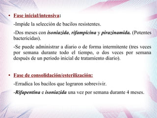 ● Fase inicial/intensiva:
-Impide la selección de bacilos resistentes.
-Dos meses con isoniazida, rifampicina y pirazinamida. (Potentes
bactericidas).
-Se puede administrar a diario o de forma intermitente (tres veces
por semana durante todo el tiempo, o dos veces por semana
después de un periodo inicial de tratamiento diario).
● Fase de consolidación/esterilización:
-Erradica los bacilos que lograron sobrevivir.
-Rifapentina e isoniazida una vez por semana durante 4 meses.
 