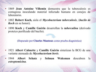 ● 1869 Jean Antoine Villemin demuestra que la tuberculosis es
contagiosa inoculando material infectado humano en conejos de
laboratorio.
● 1882 Robert Koch, aisla el Mycobacterium tuberculosis, (bacilo de
Koch en su honor).
● 1890 Koch y Camille Guérin desarrollan la tuberculina (derivado
proteico purificado del bacilo).
(Depurado por Charles Mantoux como prueba diagnóstica)
● 1921 Albert Calmette y Camille Guérin sintetizan la BCG de una
variante atenuada de Mycobacterium bovis.
● 1944 Albert Schatz y Selman Waksman descubren la
estreptomicina.
 