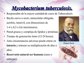 Mycobacterium tuberculosis.Mycobacterium tuberculosis.
● Responsable de la mayor cantidad de casos de Tuberculosis.
● Bacilo curvo o recto, intracelular obligado,
aerobio, inmóvil, con dimensiones de
1-4 x 0,3 x 0,6 micrómetros.
● Pared gruesa y compleja de lípidos y proteínas.
● Tiempo de generación lento (12-24 horas).
● Ante circunstancias adversas puede entrar en
latencia y retrasar su multiplicación de días a
años.
● Reservorio natural ser humano (sano o
enfermo).
Robert Koch.
 