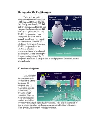 The dopamine D2-, D3-, D4 receptor

       There are two main
subgroups of dopamine receptor
– D1-like and D2-like. The D2-
like family contains the D2, D3
and D4 subtypes and the D1-like
receptor family contains the D1
and D5 receptor subtypes. The
D2-like receptors are found
throughout the brain and in
smooth muscle and presynaptic
nerve terminals. Coupled to
inhibitory G-proteins, dopamine
D2-like receptors have an
inhibitory effect on
neurotransmission when bound
by an agonist. Many neuroleptic
drugs are antagonists of the D2
receptors. This class of drug is used to treat psychotic disorders, such as
schizophrenia.


D2 receptor antagonist


       A D2 receptor
antagonist prevents
the activation of the
dopamine D2
receptor. The D2
receptor is coupled
to inhibitory G-
proteins, which
dissociate from the
receptor on agonist
binding and inhibit
secondary messenger signaling mechanisms. This causes inhibition of
down-stream signaling mechanisms. Antagonist binding inhibits this
usual process, resulting in cell depolarization.
 