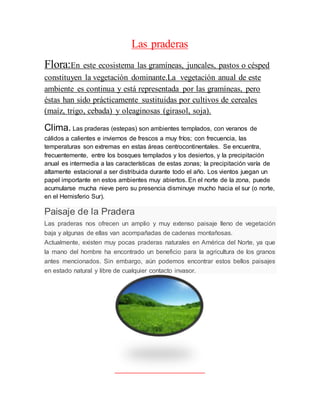 Las praderas
Flora:En este ecosistema las gramíneas, juncales, pastos o césped
constituyen la vegetación dominante.La vegetación anual de este
ambiente es continua y está representada por las gramíneas, pero
éstas han sido prácticamente sustituidas por cultivos de cereales
(maíz, trigo, cebada) y oleaginosas (girasol, soja).
Clima. Las praderas (estepas) son ambientes templados, con veranos de
cálidos a calientes e inviernos de frescos a muy fríos; con frecuencia, las
temperaturas son extremas en estas áreas centrocontinentales. Se encuentra,
frecuentemente, entre los bosques templados y los desiertos, y la precipitación
anual es intermedia a las características de estas zonas; la precipitación varía de
altamente estacional a ser distribuida durante todo el año. Los vientos juegan un
papel importante en estos ambientes muy abiertos. En el norte de la zona, puede
acumularse mucha nieve pero su presencia disminuye mucho hacia el sur (o norte,
en el Hemisferio Sur).
Paisaje de la Pradera
Las praderas nos ofrecen un amplio y muy extenso paisaje lleno de vegetación
baja y algunas de ellas van acompañadas de cadenas montañosas.
Actualmente, existen muy pocas praderas naturales en América del Norte, ya que
la mano del hombre ha encontrado un beneficio para la agricultura de los granos
antes mencionados. Sin embargo, aún podemos encontrar estos bellos paisajes
en estado natural y libre de cualquier contacto invasor.
 