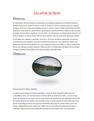 Las selvas de lluvia
Flora[editar]
El crecimiento de los árboles es exuberante, con árboles emergentes de hasta 60 metros y
árboles del dosel de hasta 30 metros o más. El dosel es continuo excepto sobre los cuerpos
de agua. Estos son bosques complejos con por lo menos cuatro niveles moderadamente bien
definidos: dosel superior, dosel inferior, sotobosque y arbustos/hierbas. Debido al denso dosel
de hojas, el crecimiento vegetal se ve suprimido y el sotobosque es relativamente abierto en el
bosque maduro; la densa "selva" del concepto popular está asociada a las etapas preclimax.
Los árboles son esbeltos y alcanzan unos 50 m. El tronco rectilíneo suele estar provisto de
contrafuertes para sujetarlo, pues el enraizamiento siempre es muy superficial. Existe una
dispersión extrema de los árboles, sin que predomine ninguno de ellos. La mayor parte de las
lianas son leñosas y pueden alcanzar hasta los 200 m enrollándose alrededor de los árboles.
También proliferan las epífitas, como las orquídeas y las tillandsias.
Clima[editar]
Bosque tropical en Chocó, Colombia.
La selva tropical típica es lluviosa (pluvisilva), presenta clima tropical húmedo (tipo Af)
o monzónico (Am) y se caracteriza por el clima cálido durante todo el año y, con un rango
diario de la temperatura mayor que el rango estacional. Igualmente, las longitudes de los días
son esencialmente las mismas durante todo el año. La precipitación es estacional, pero muy
pocas veces llega a ser tan seco que se manifieste como sequía; puede haber uno o más
meses relativamente secos (menos de 1500 mm) en casi todas las partes de esta zona, y
solamente algunas áreas son realmente húmedas durante todo el año. Las estaciones
 