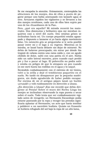 Se me escapaba la atención. Ociosamente, contemplaba las
abluciones de los monjes, dos de ellos a punto de pe-
garse porque uno había amenazado con lanzarle agua al
otro. Actuaron rápidos los vigilantes y se llevaron a los
dos monjes revoltosos, cada uno de ellos bien sujeto por
uno de los «Guardianes de la Paz».
Pero, ¿qué era aquello? Mi mirada recorrió los mato-
rrales. Dos diminutos y brillantes ojos me miraban in-
quietos casi a nivel del suelo. Dos orejitas grises se
inclinaban hacia mí. Un cuerpo pequeñito estaba agaza-
pado y dispuesto a lanzarse si yo hacía algún movimiento
falso. Un ratoncito gris se preguntaba si le sería posible
pasar entre mí y el lago a su regreso. Mientras yo lo
miraba, se lanzó hacia delante sin dejar de mirarme. No
debía de haberse preocupado; sin mirar por dónde iba
tropezó de cabeza contra una rama caída y, con un agudo
chillido de dolor, saltó con una patita en el aire. Había
sido un salto lateral excesivo, pues cuando cayó perdió
pie y fue a parar al lago. El pobrecillo no podía salir
y estaba en peligro de que lo atrapara un pez cuando
yo me metí hasta las rodillas en el agua y lo saqué.
Secándolo cuidadosamente con el extremo de mi túnica,
volví a la orilla y dejé el tembloroso paquetito en el
suelo. No tardó en desaparecer por la pequeña madri-
guera, sin duda agradecido de haber podido escapar.
Por encima de mí el antiguo pájaro lanzó un burlón
«¡cruaak!» y voló ruidosamente en dirección a Lhasa.
¿En dirección a Lhasa? ¡Eso me recordó que debía diri-
girme al Potala! Sobre el muro del Norbu Linga los
monjes se inclinaban observando la ropa puesta a secar
sobre el suelo. Todo tenía que ser cuidadosamente vigi-
lado antes de recogerlo; un Hermanito Escarabajo podía
estarse paseando por la ropa y recoger las prendas signi-
ficaría aplastar al Hermanito, un acto que haría temblar
y palidecer a un sacerdote budista. Quizás un Gusanito
se hubiera refugiado del sol bajo la ropa de un alto lama,

                                               13
 