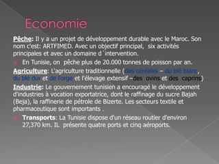 Pêche: Il y a un projet de développement durable avec le Maroc. Son
nom c'est: ARTFIMED. Avec un objectif principal, six activités
principales et avec un domaine d´intervention.
 En Tunisie, on pêche plus de 20.000 tonnes de poisson par an.
Agriculture: L'agriculture traditionnelle (des céréales – du blé blanc,
du blé dur et de l'orge et l'élevage extensif –des ovins et des caprins)
Industrie: Le gouvernement tunisien a encouragé le développement
d'industries à vocation exportatrice, dont le raffinage du sucre Bajah
(Beja), la raffinerie de pétrole de Bizerte. Les secteurs textile et
pharmaceutique sont importants .
 Transports: La Tunisie dispose d'un réseau routier d'environ
27,370 km. IL présente quatre ports et cinq aéroports.
 