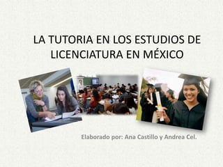 LA TUTORIA EN LOS ESTUDIOS DE
   LICENCIATURA EN MÉXICO




        Elaborado por: Ana Castillo y Andrea Cel.
 