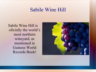 Sabile Wine Hill Sabile Wine Hill is oficially the world’s most northern wineyard, as mentioned in Guiness World Records Book! 