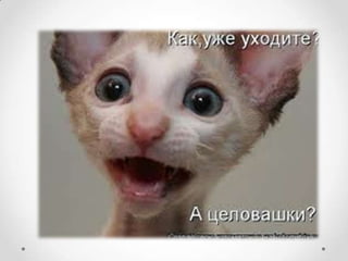 Ситуация на Латвийском рынке труда