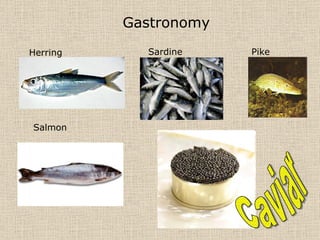 Gastronomy Herring Sardine Pike Salmon Caviar 