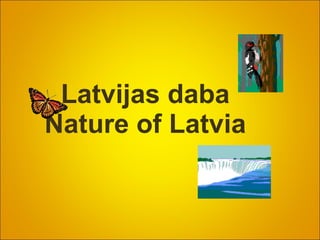 Latvijas daba Nature of Latvia 