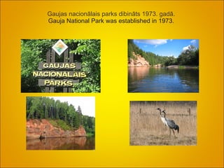 Gaujas nacionālais parks dibināts 1973. gadā.    Gauja National Park was established in 1973.  
