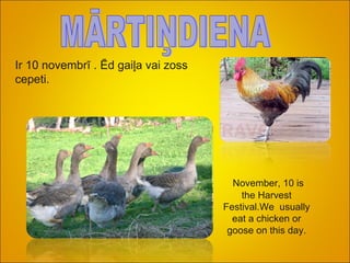 MĀRTIŅDIENA Ir 10 novembrī . Ēd gaiļa vai zoss cepeti.  November, 10 is the Harvest Festival.We  usually eat a chicken or goose on this day. 