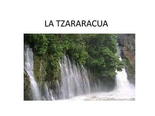 LA TZARARACUA 
 