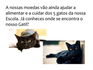A nossas moedas vão ainda ajudar a
alimentar e a cuidar dos 5 gatos da nossa
Escola. Já conheces onde se encontra o
nosso Gatil?
 