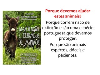 Porque devemos ajudar
estes animais?
Porque correm risco de
extinção e são uma espécie
portuguesa que devemos
proteger.
Porque são animais
espertos, dóceis e
pacientes.
 