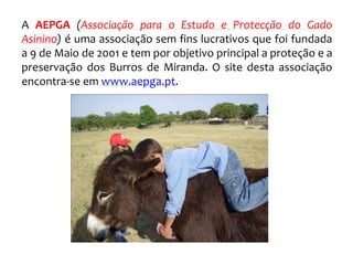 A AEPGA (Associação para o Estudo e Protecção do Gado
Asinino) é uma associação sem fins lucrativos que foi fundada
a 9 de Maio de 2001 e tem por objetivo principal a proteção e a
preservação dos Burros de Miranda. O site desta associação
encontra-se em www.aepga.pt.
 